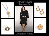 Glimpse of Malibu - January 2025