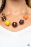 Paparazzi - Eco Extravaganza - Multicolored Necklace